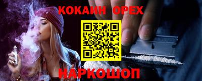 гидра Заводоуковск