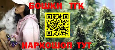 гидра Заводоуковск
