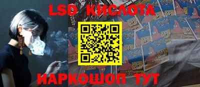 гидра Заводоуковск