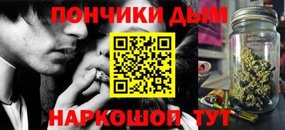 гидра Заводоуковск