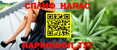 гидра Заводоуковск