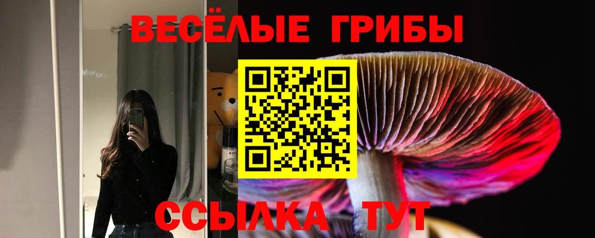 Псилоцибиновые грибы Magic Shrooms  Вход с VPN  Псилоцибиновые грибы Cubensis  Ливны 