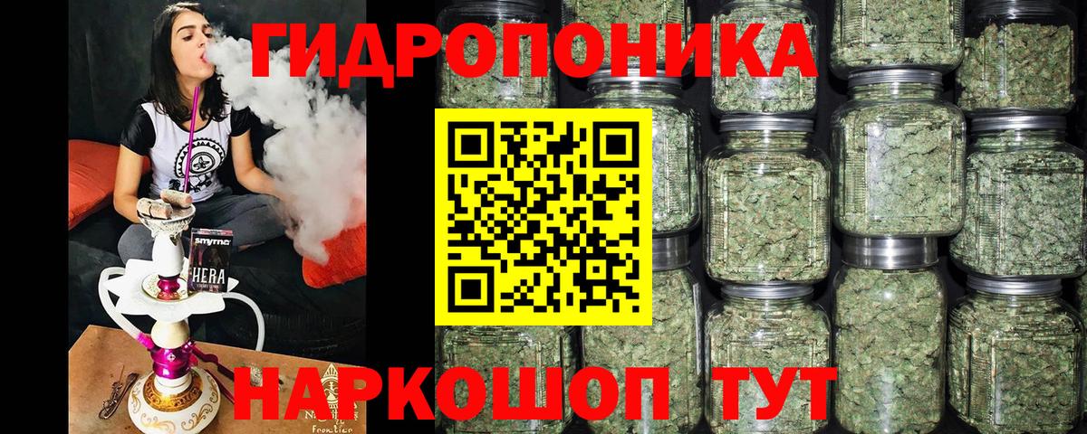 МАРИХУАНА конопля Ливны